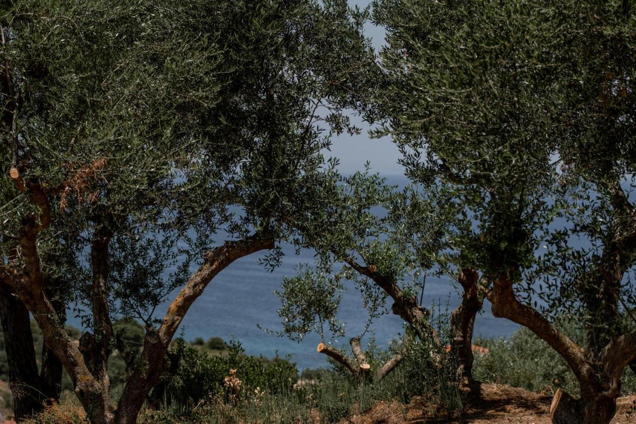 Cossoro Villas Zakynthos Xirokásztelo Kültér fotó